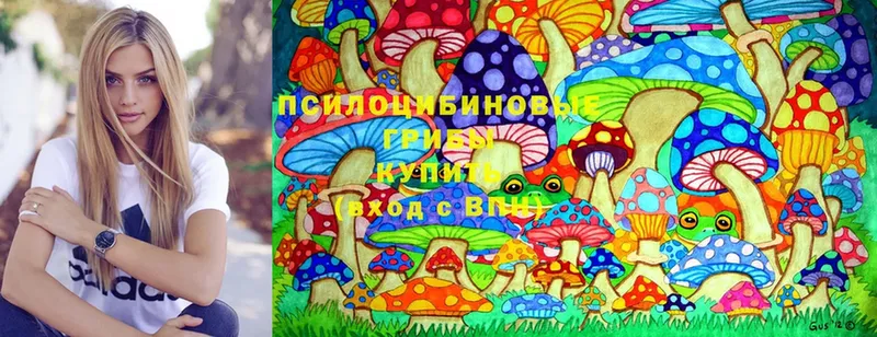 мега зеркало  Апатиты  Галлюциногенные грибы Psilocybe  как найти  